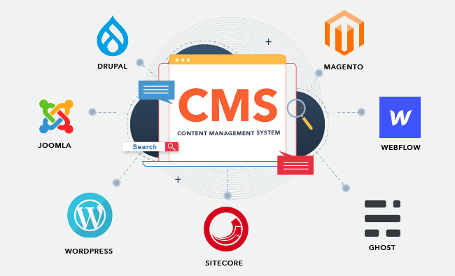 Content Management System Rayer Digital Services